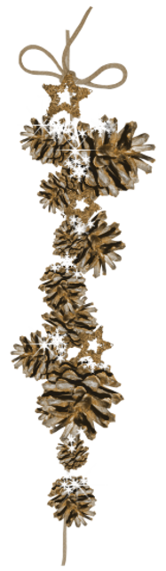 beautiful_reindeer_33