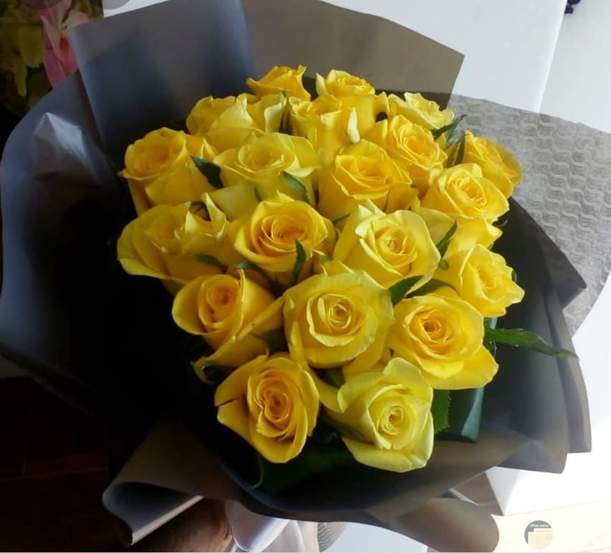 IMG_٢٠٢١٠٦٢٩_٠٠٠١٠٠