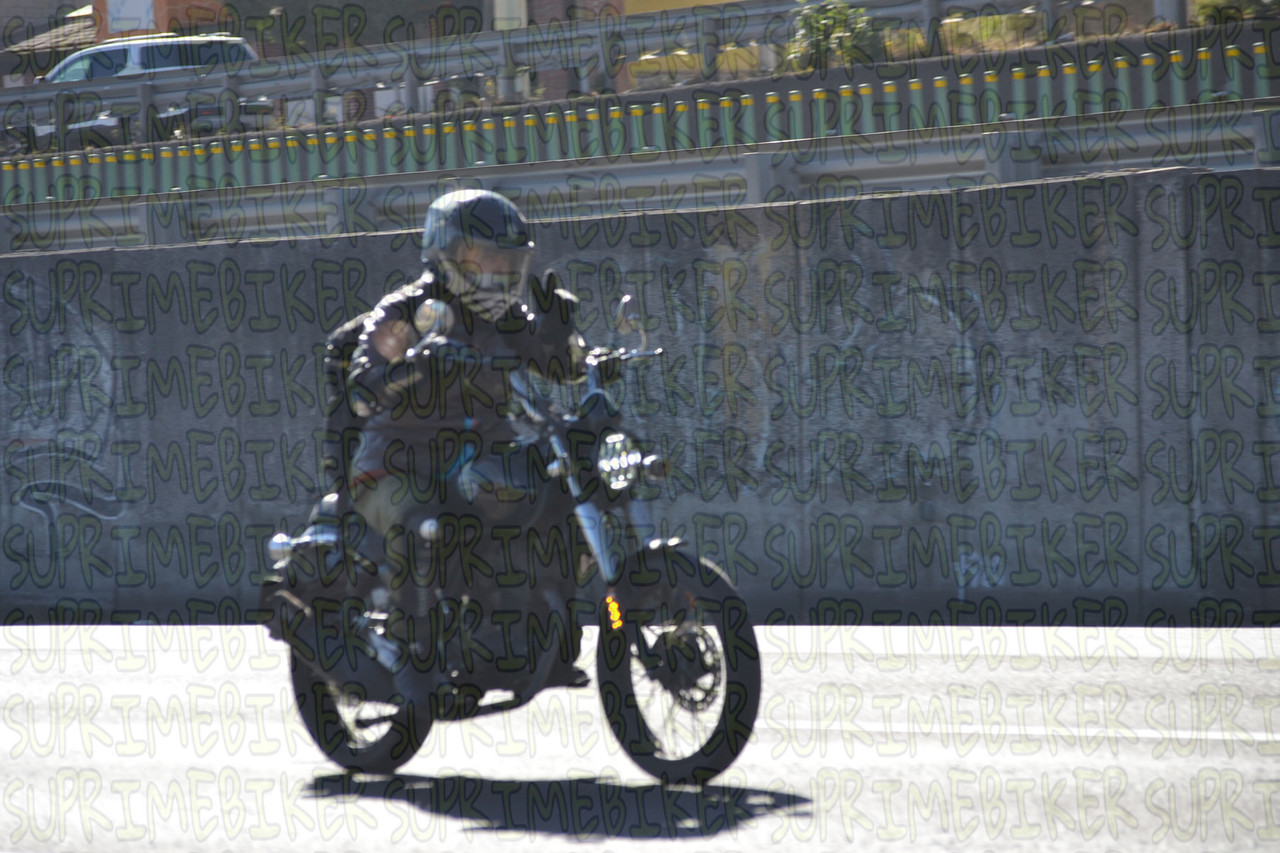 DSC 0434