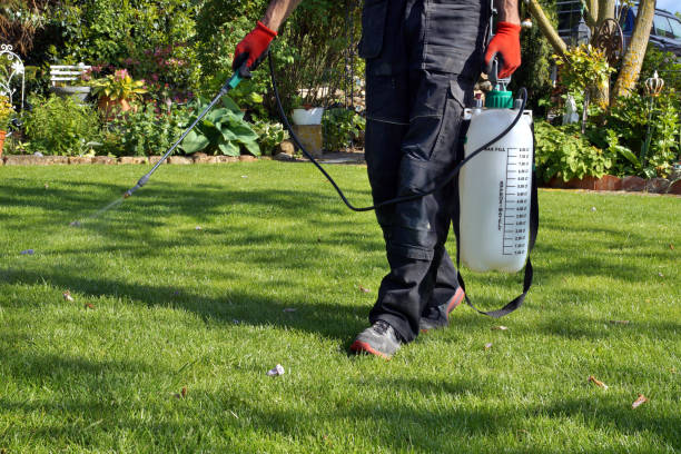 Rodent pest control