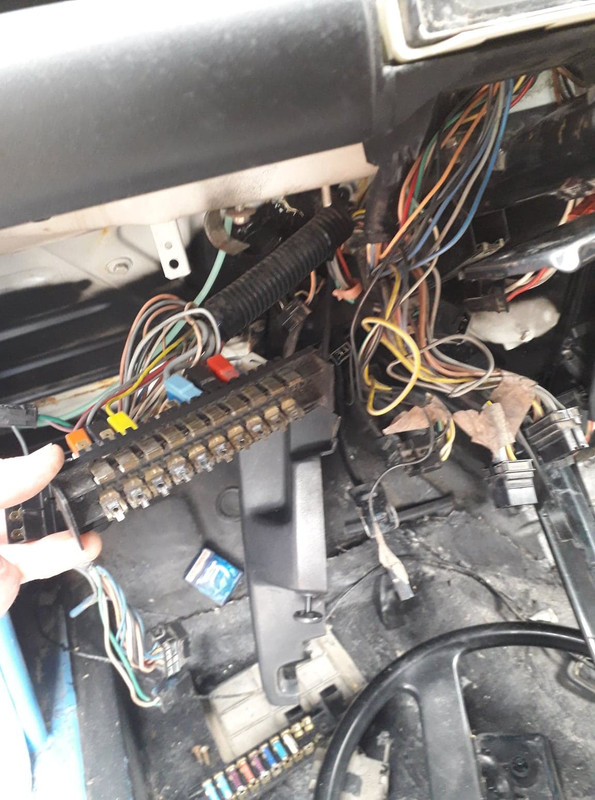 83395722_459399408274428_7719613766442156032_n