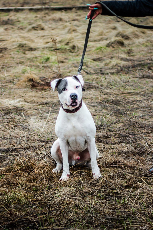 без имени-1080