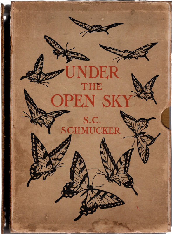 Under the Open Sky