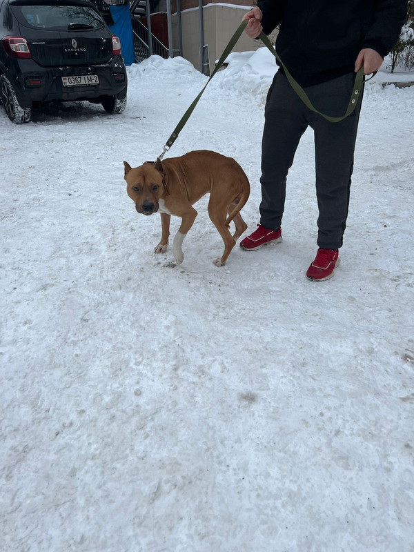 WhatsApp Image 2024-01-28 at 16.04.44 (2)