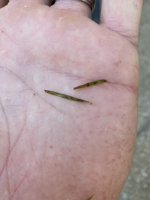 95425936-43E3-4A8F-8C62-1BC99225F72C