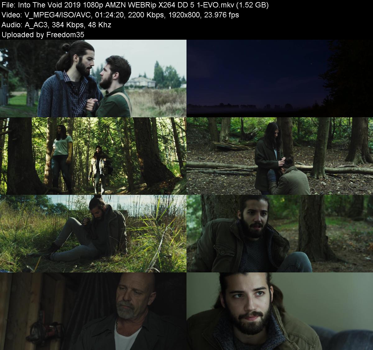 Into-The-Void-2019-1080p-AMZN-WEBRip-X26