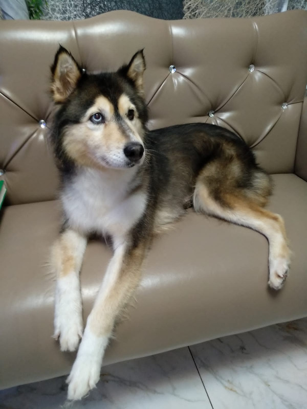 1FCD488C-DEEF-4F06-90B8-7337026687CD