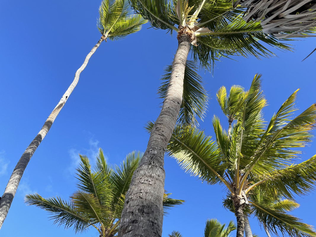 29B5B81C-2B35-4B14-841D-DA7A2C0A4644