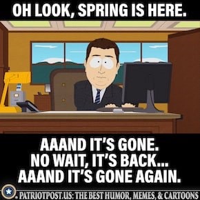 Spring-here-or-gone