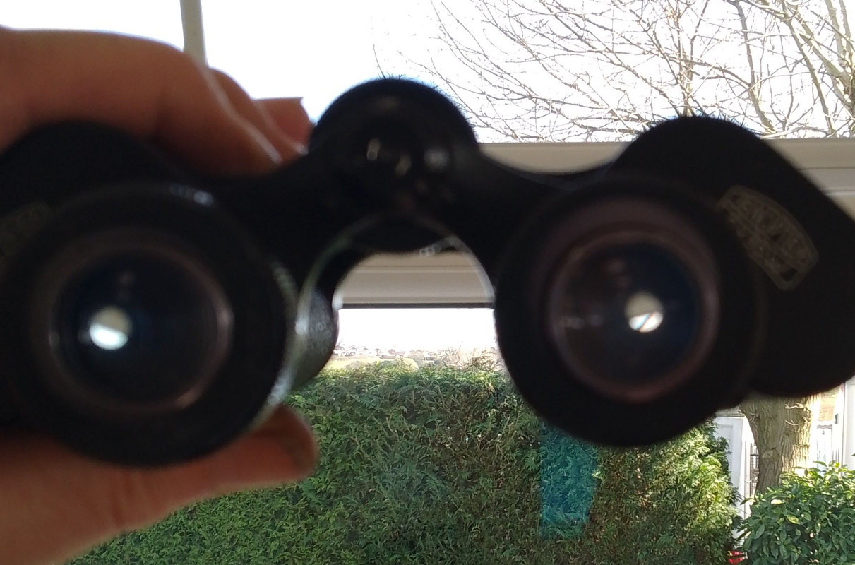 IMG_20250320_135827_590~2