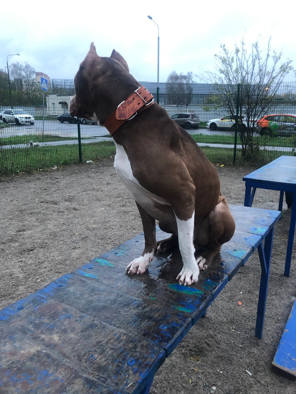 8B14EC99-A509-4F84-92AA-5279DE6188E0