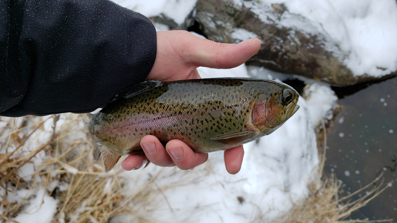 20191217_132647