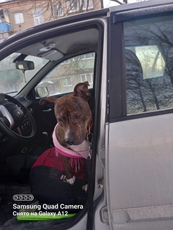 9D5D512B-7625-4265-9D36-E6E8EB8DE252