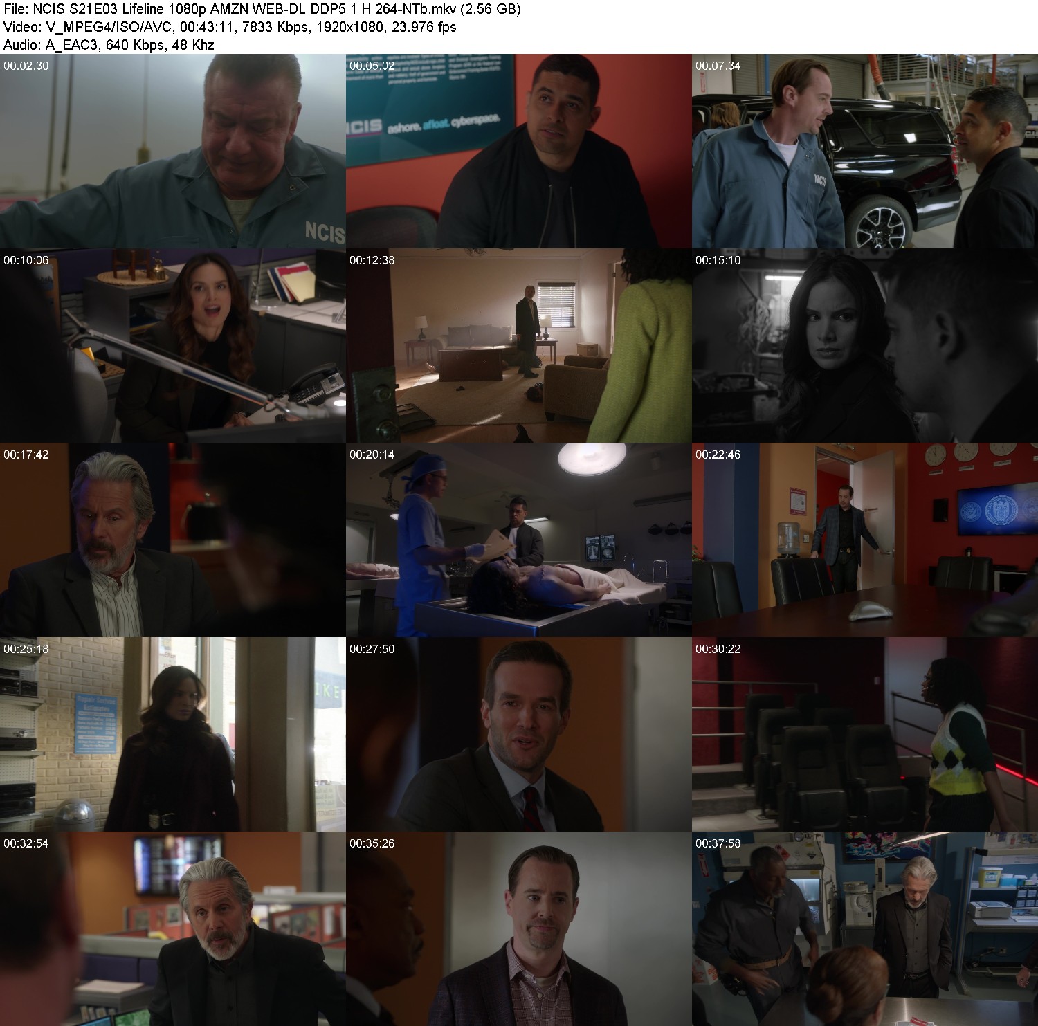 [Image: s9vnt7q7y9gh.jpg]