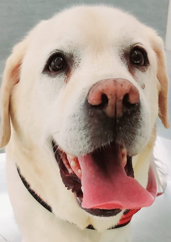 2025-02-07-20-59-21-616