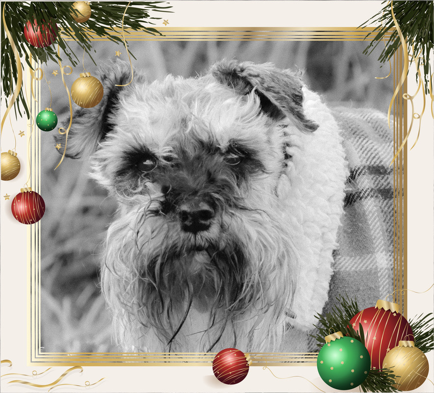 B9ABEAF1-37D1-4A4B-8558-8C0F009B8E65