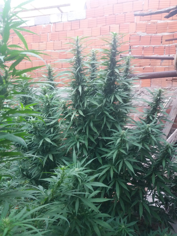 457684599_8012691795492806_525086784543201063_n