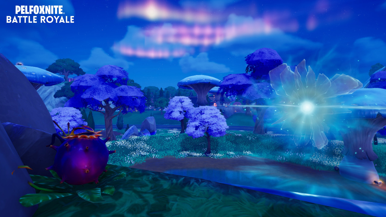 Image large sur desktop