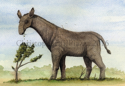 Paraceratherium (1)