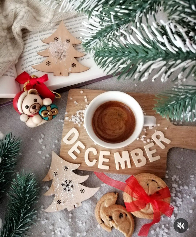 Screenshot_20231203_233930_Instagram