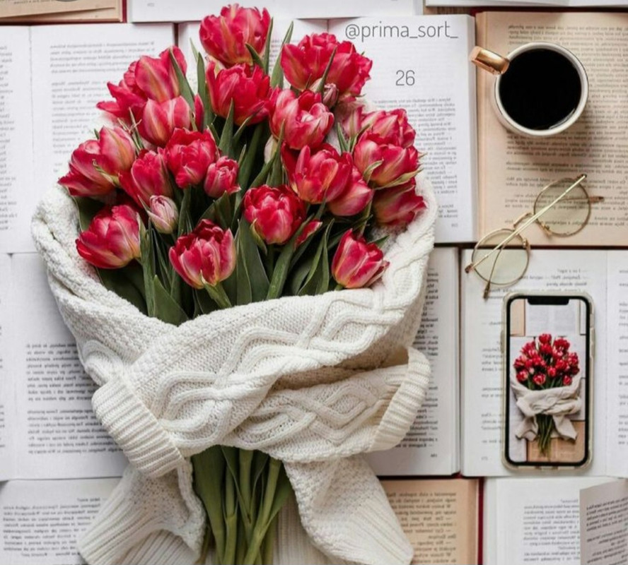 Screenshot_20230225_012830_Pinterest