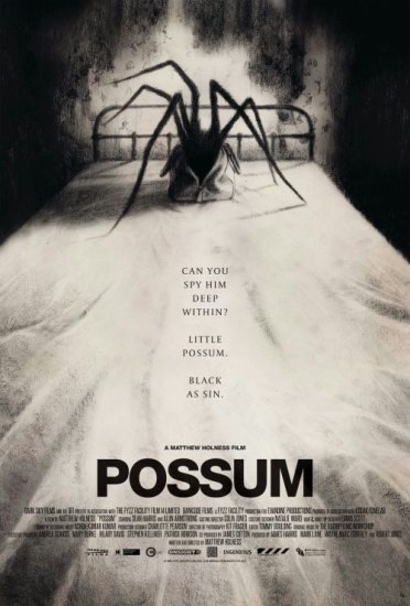 Possum (2018) PL.BRRip.XviD-GR4PE / LEKTOR PL