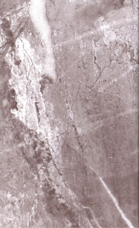 p0002