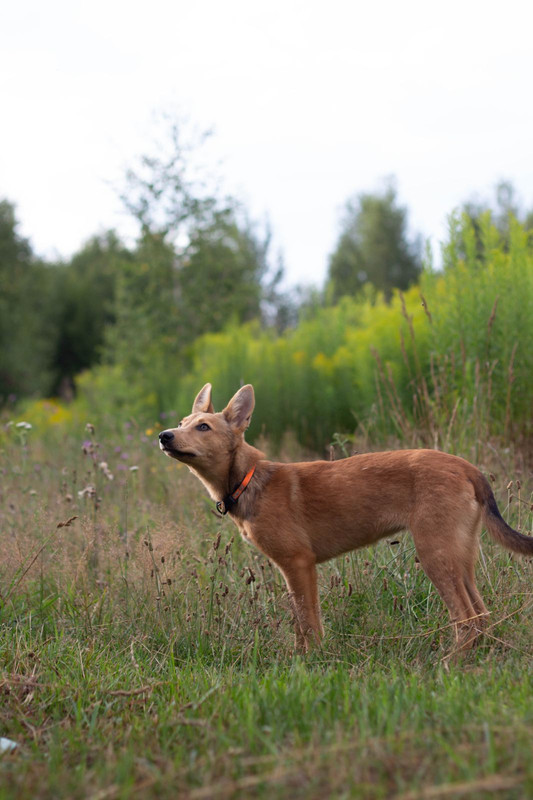 IMG-50a837ed4c24ffa9bb382facfd2db953-V