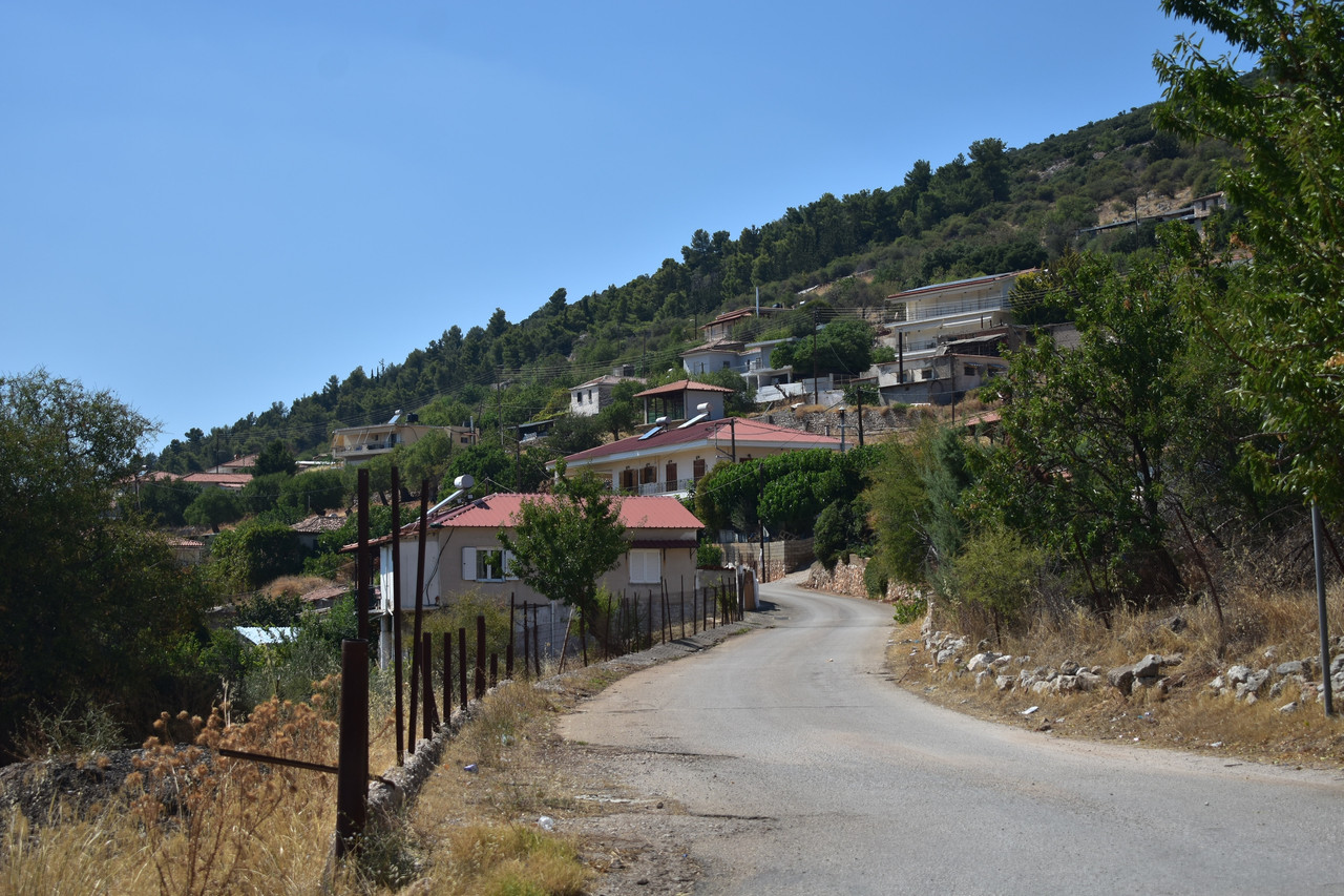 Αραχναίο (15)