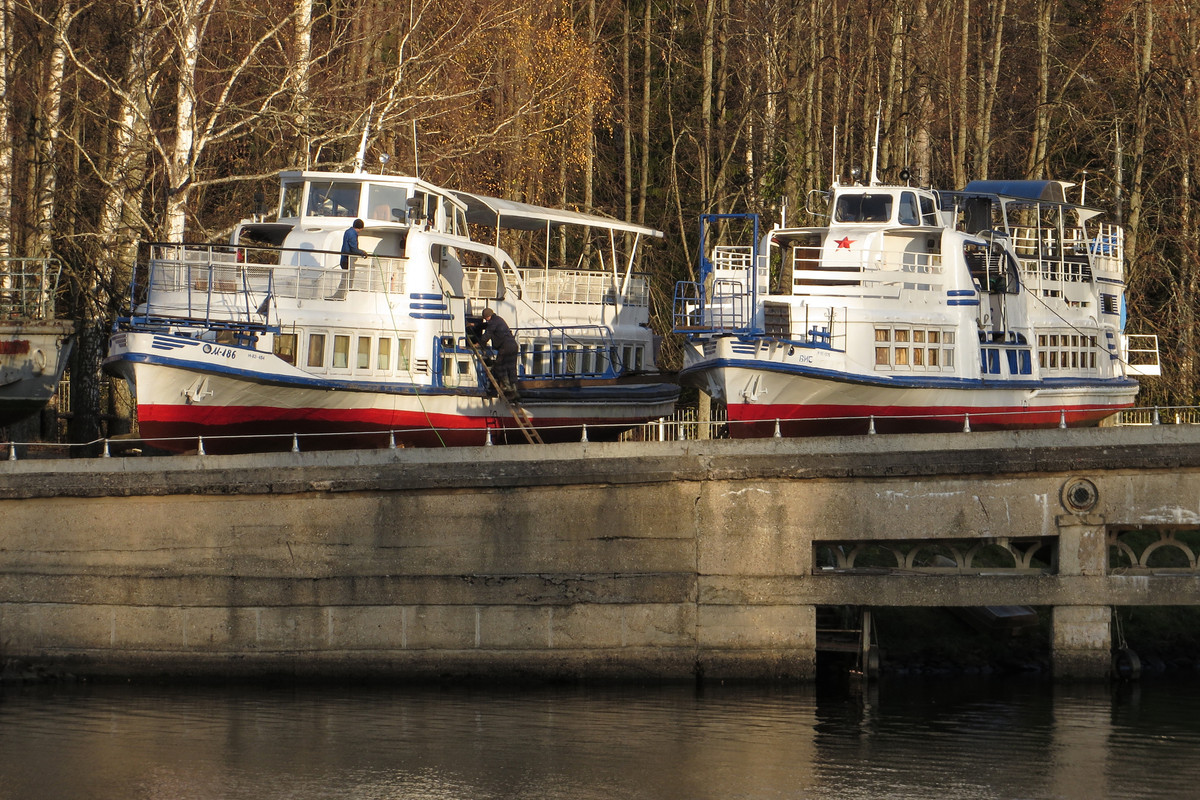Canon-SX270-20201101.jpg