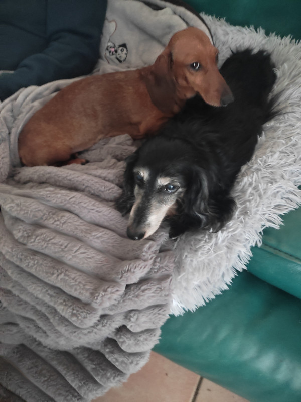 [Image: IMG-20240105-152552.jpg]