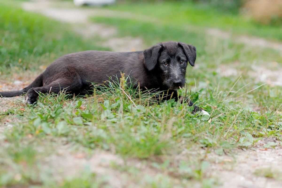 resize-image-online.com_3jpg_qFqMmKZq