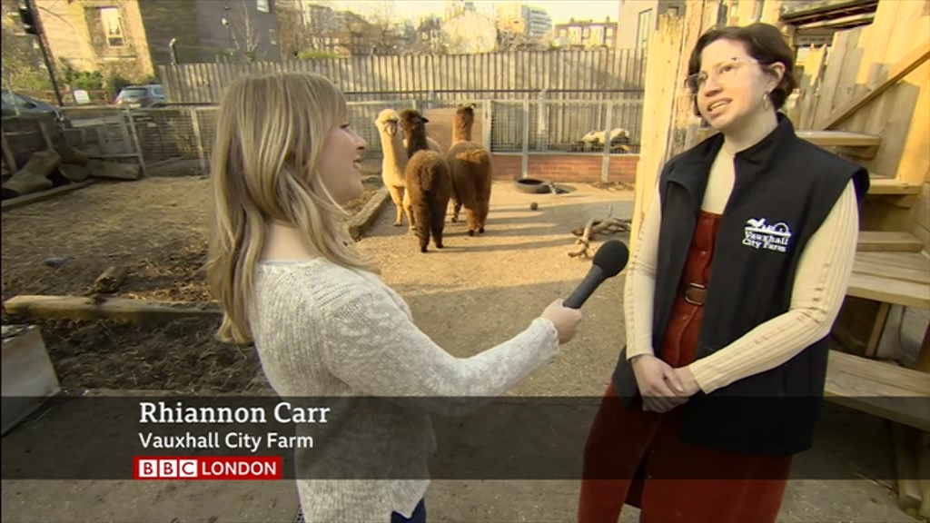 BBC London News_20220324_18301900.ts_snapshot_23.59.580