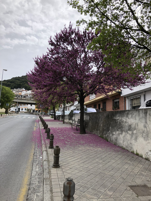 F4F61222-815C-4A69-8AC6-D74FDF804D56