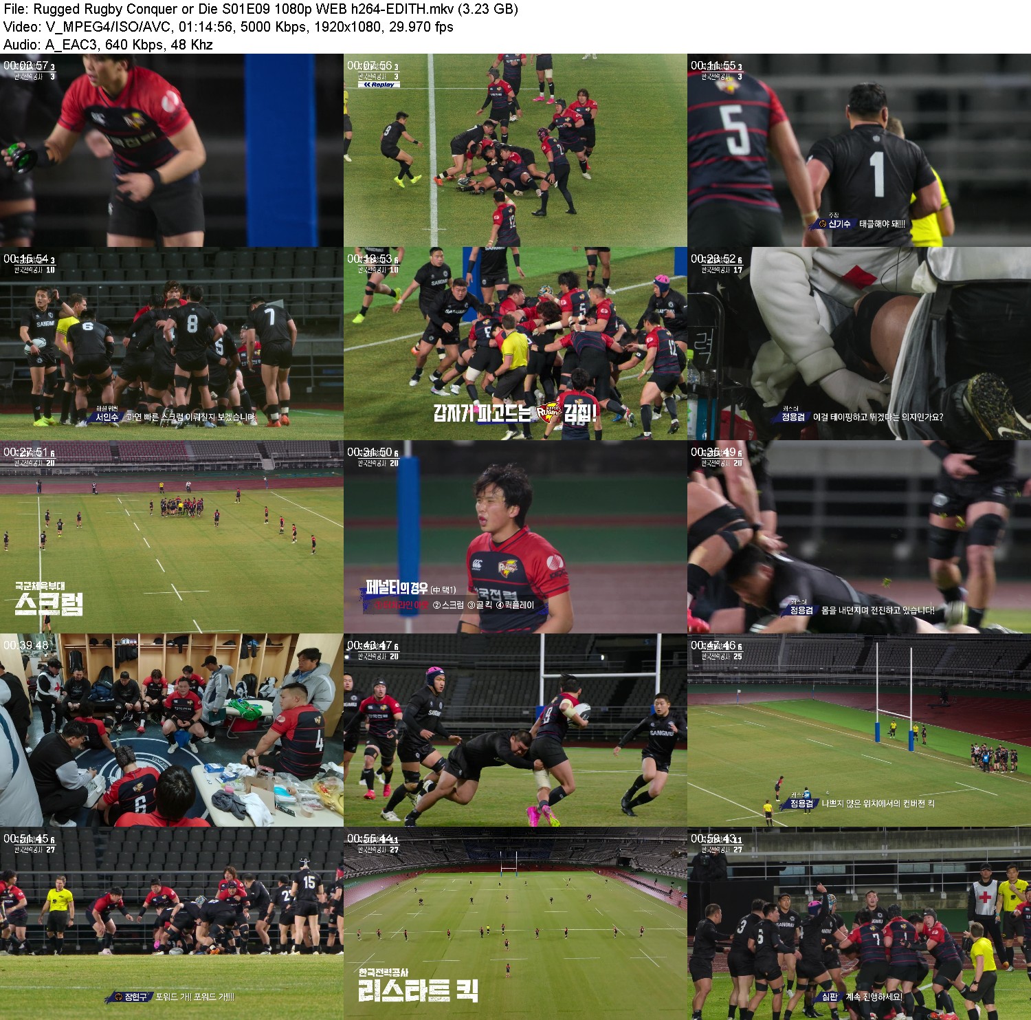 [Image: a50pg1f5kyhl.jpg]