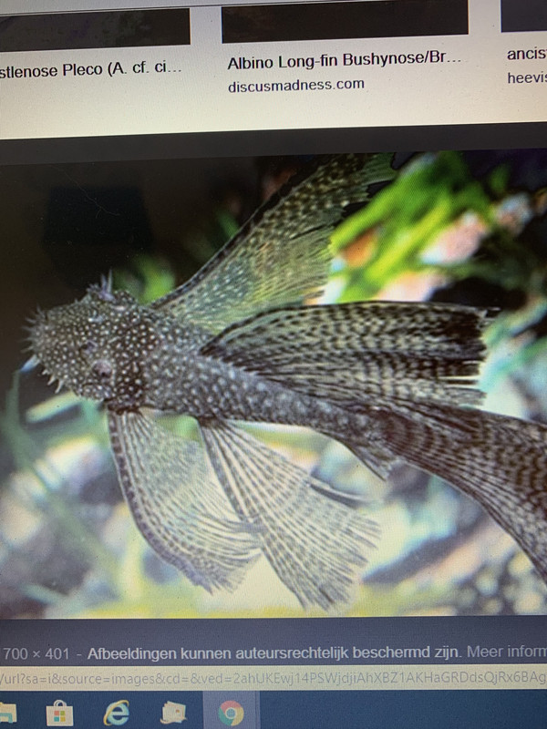 086AB21F-D45F-4E5C-8391-6EC8C8714299