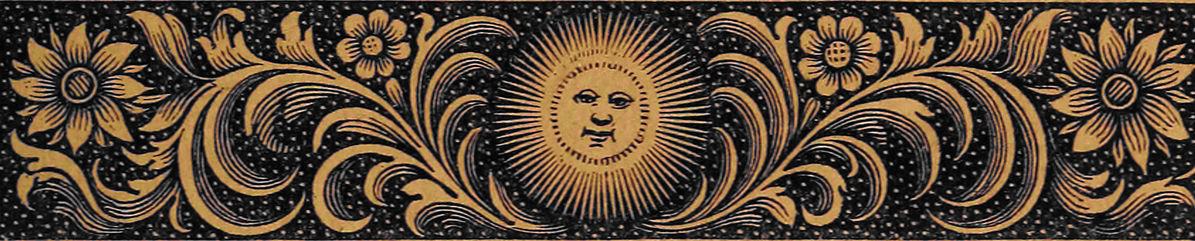 sun divider sun divider