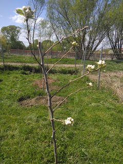 IMG_20220425_151954