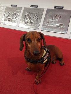 [Image: DSC-1604.jpg]