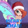 Xmas-Bloom-Icon25-C