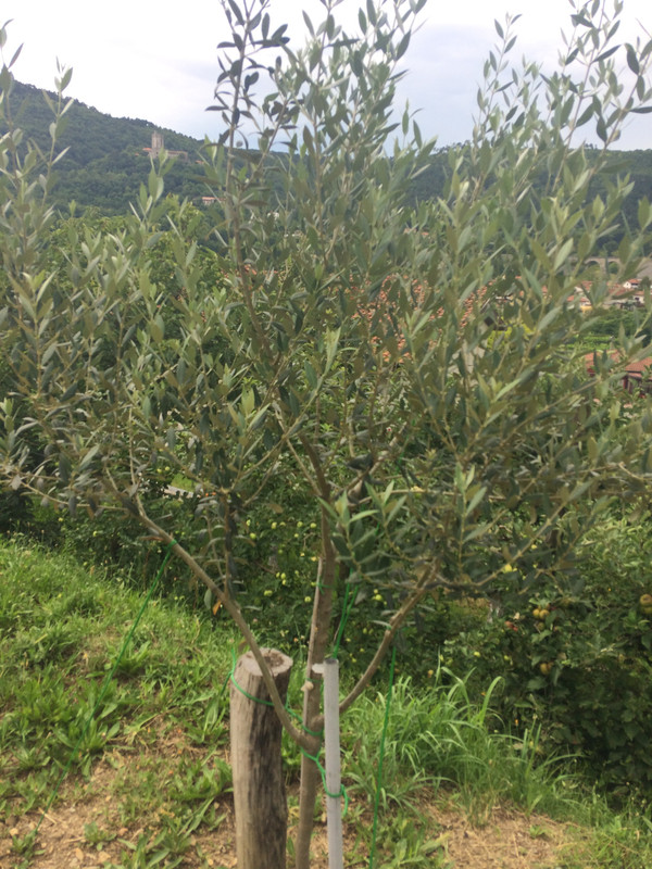 CB028254-3320-4410-8F9F-EEE46E38C0B4