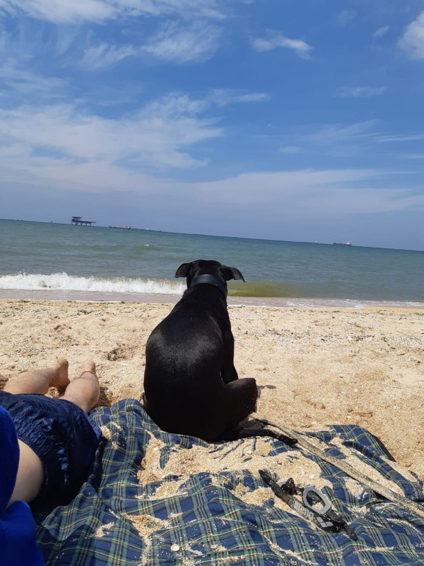 7A4A5DC0-C8A1-4CD6-B833-B50791690F53