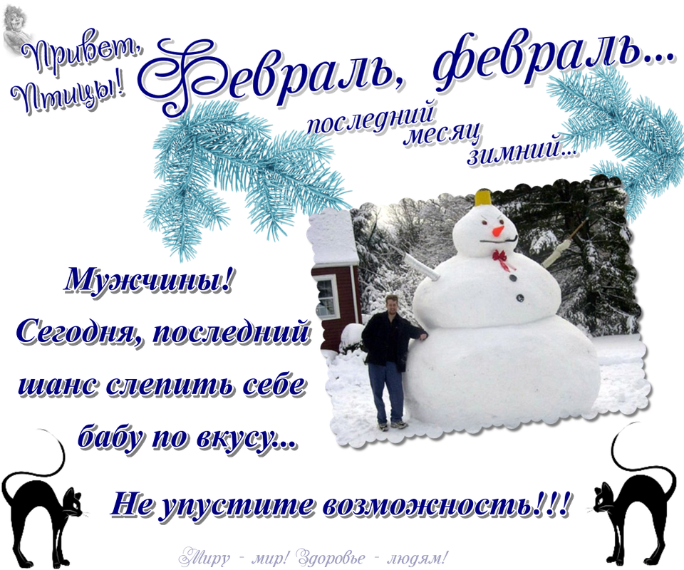 https://i.postimg.cc/mZdxSGnp/23-02.png
