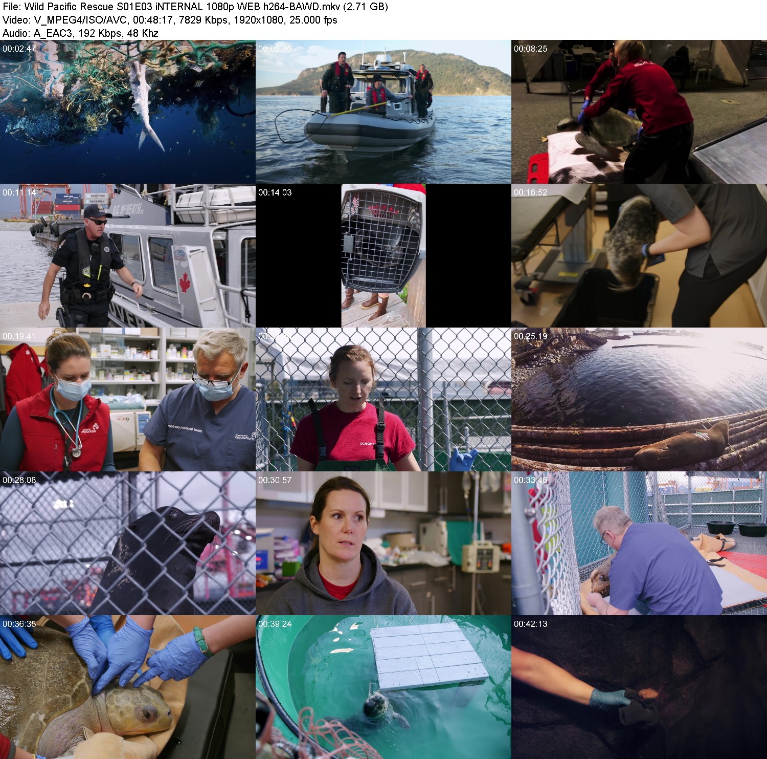 [Image: rwcy806l0feh.jpg]