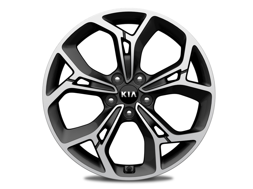 52910F1510PAC_IM_Alloywheel19_1