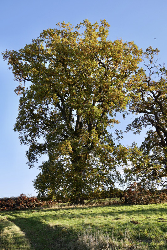 054E69F3-B3E2-4A37-A2BF-DBA7FBBEA4CA