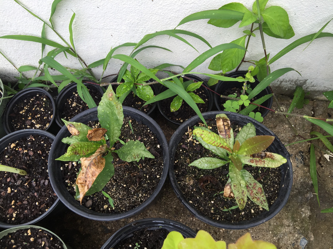 1B936087-0D70-4E16-9808-964215C91B96