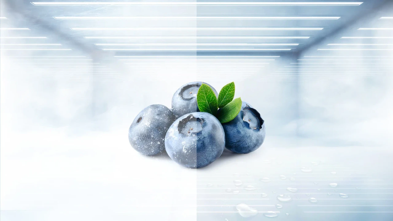 Tecnología Total No Frost de la nevera TCL P340TMN.