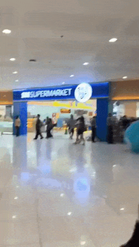 Mascotmayhem2-res-640p-ezgif-com-optimize.gif