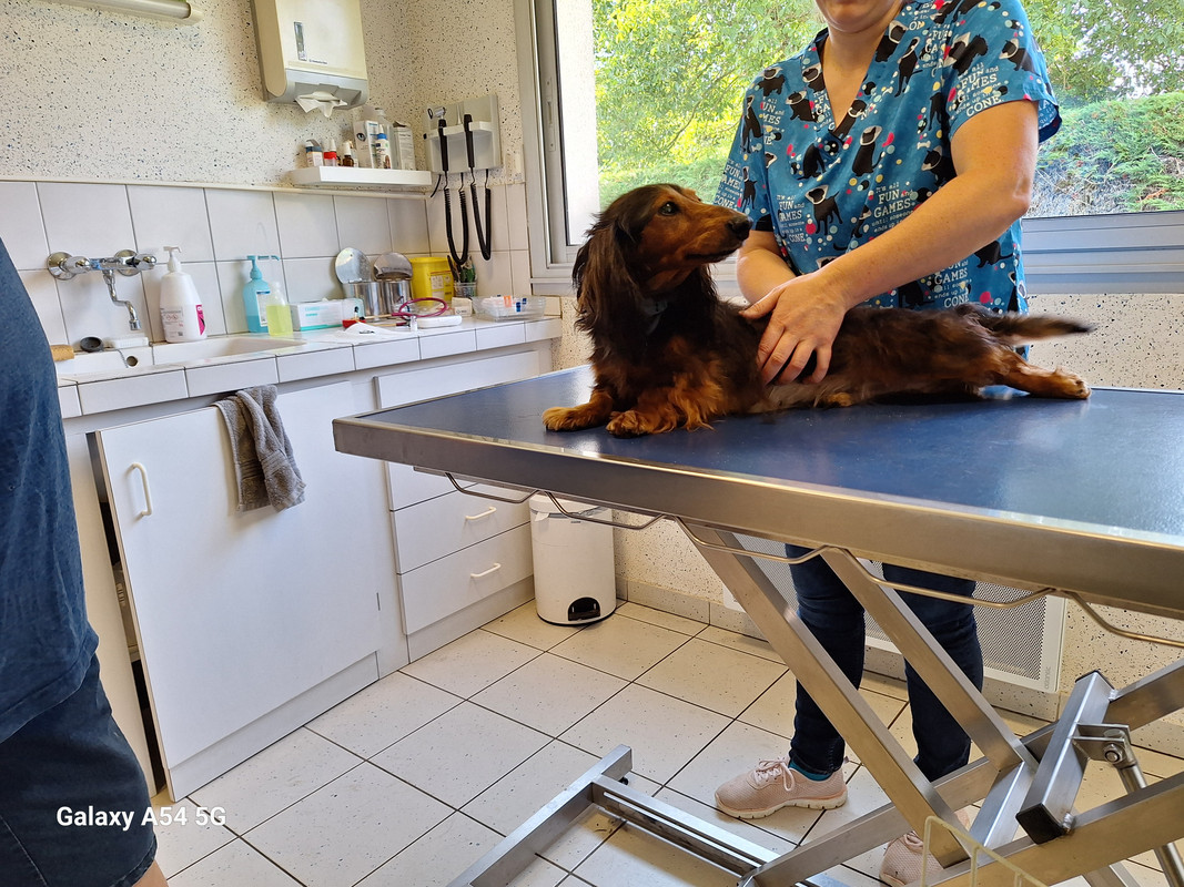 [Image: 20240724-174655.jpg]